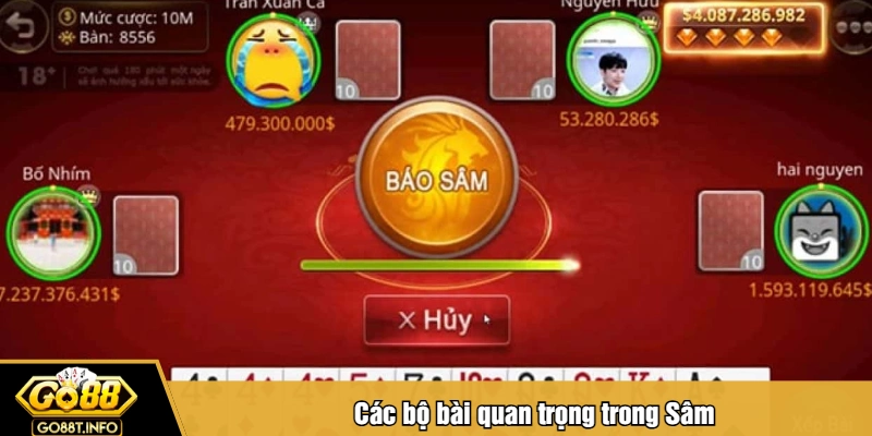 Các bộ bài quan trọng trong Sâm