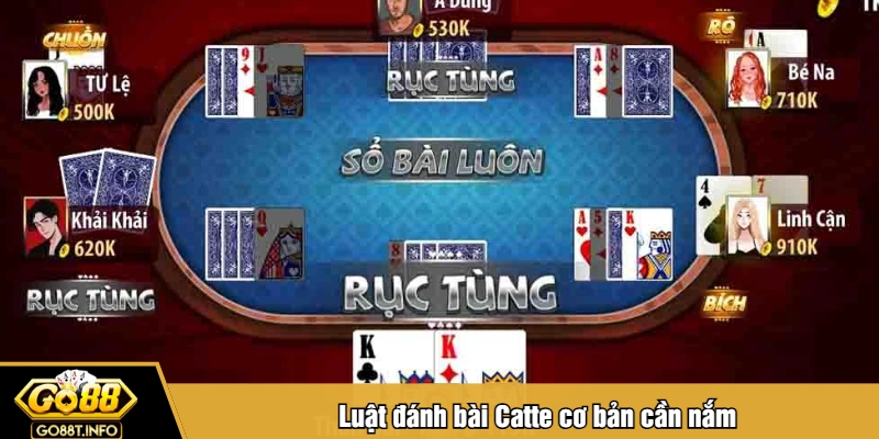 Luật đánh bài Catte cơ bản cần nắm